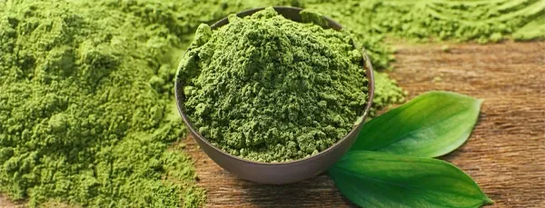 Green tea powder and leaves